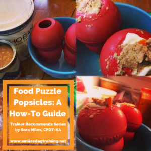 A Guide to Using Food Puzzle Toys with Your Dog