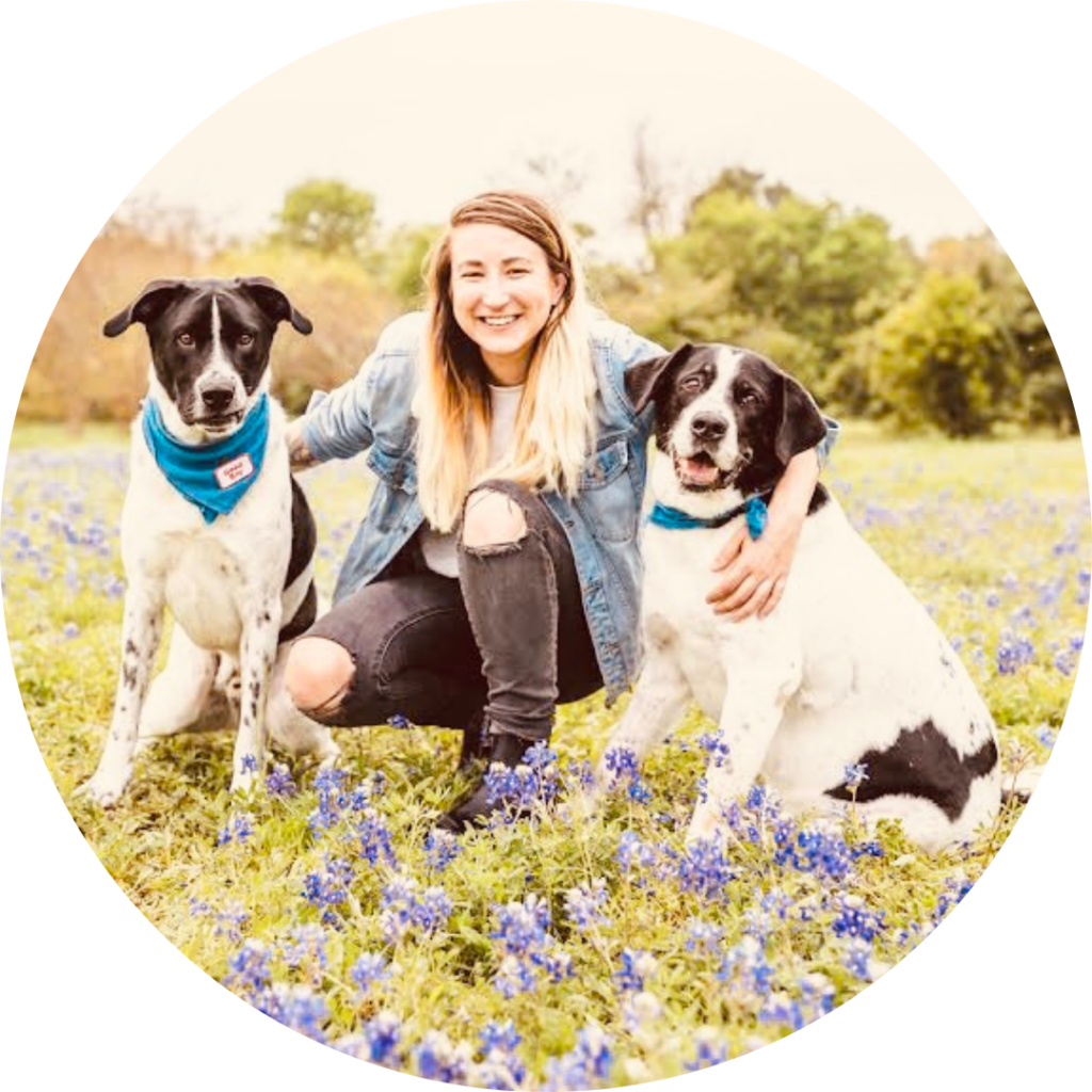 Young woman kneeling in the middle of two large black-and-white dogs