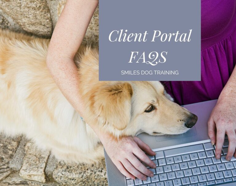 Yellow dog cuddling with woman on laptop, text: Client Portal FAQs