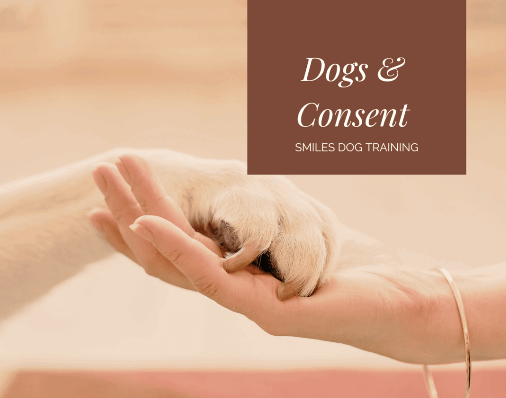 A dog’s paw rests gently in a person’s hand. Text reads: “Dogs & Consent, Smiles Dog Training”.